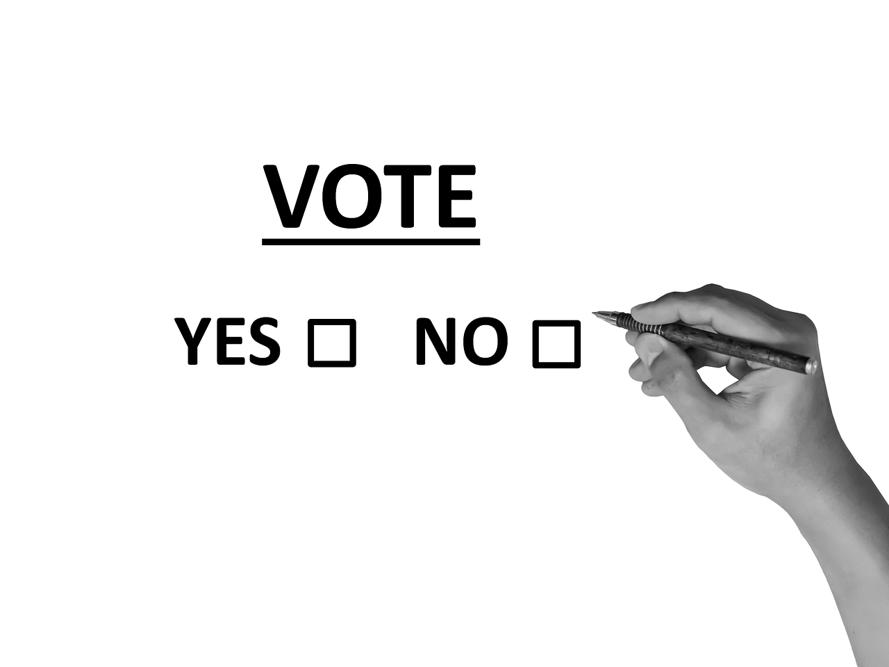 referenda